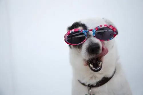 10 10
