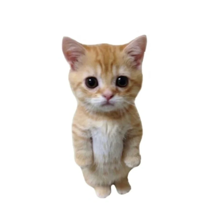 16 16